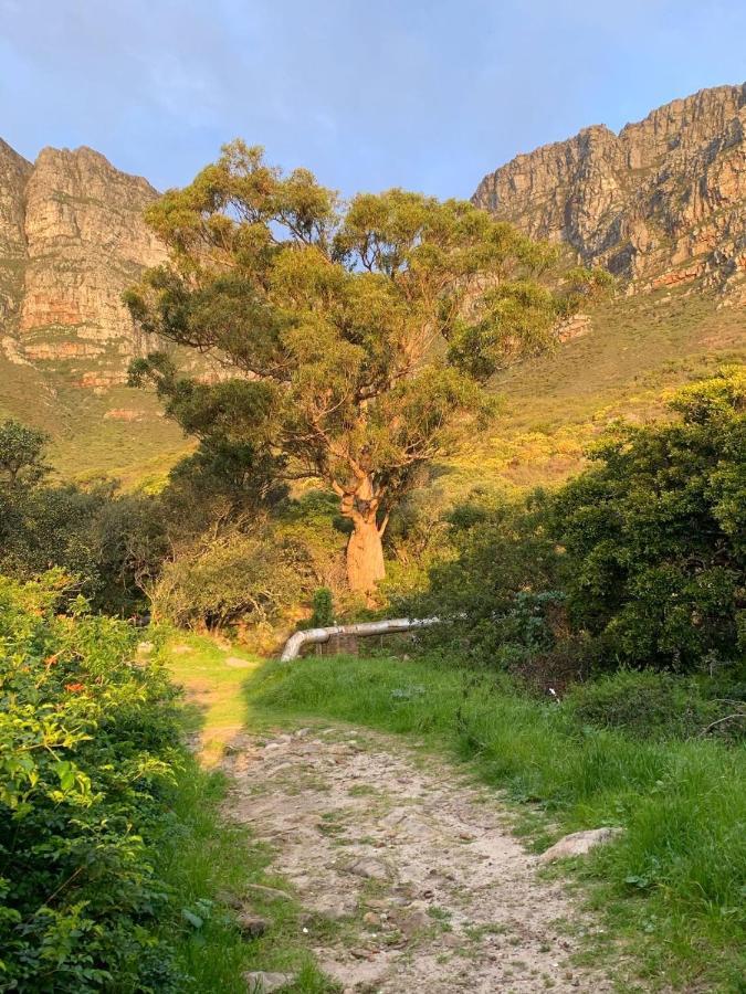 Mountain And Ocean Apartment Cape Town Luaran gambar